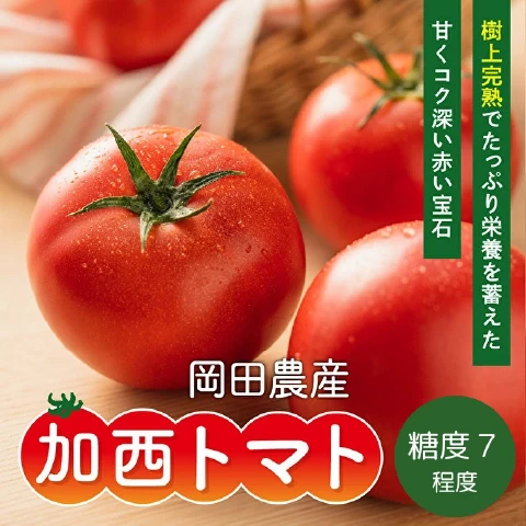 完熟加西トマト（3L〜M）