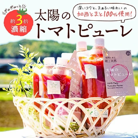 太陽のトマトピューレ