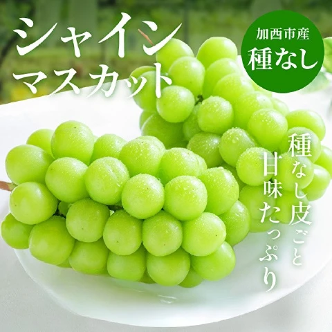 シャインマスカット