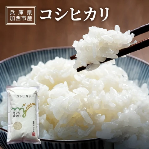 コシヒカリ 【新米予約受付】