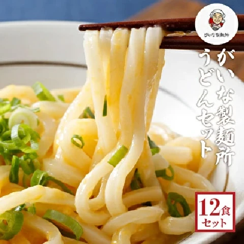 がいな製麺所うどんセット