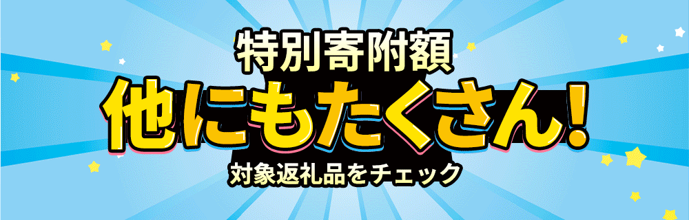 他にもたくさん！特別寄附額の返礼品は各ポータルサイトを確認