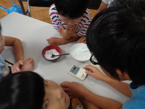 氷に塩をかけ、その温度を測定する子供たち（凝固点降下実験２）