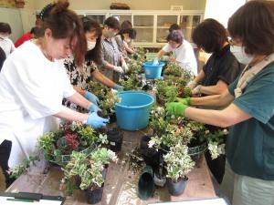 バスケットに花苗を植えこんでいく教室生の写真