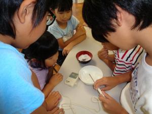氷の温度測定をする子供たち