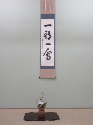 本日の床に飾られていた宗旦槿