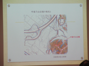 中富片山古墳の赤色立体図