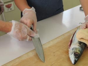 魚をさばく時の包丁の持ち方を指導してもらっている様子