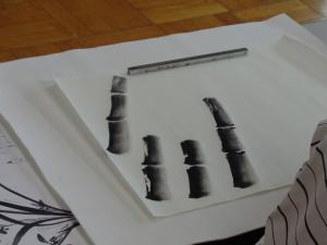 三墨法の練習で綺麗に濃淡が出た竹