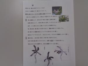 蘭を描く上での注意が記載されてテキストの写真