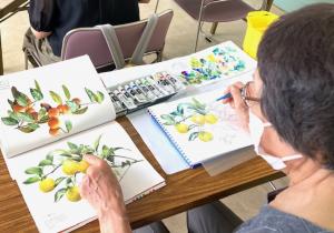 手本を見ながら絵を描いている受講生の写真