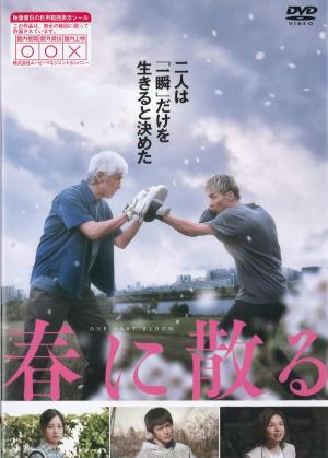 春に散るのジャケット画像