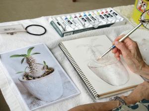 観葉植物の絵に色付けしている様子