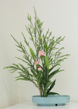 メラリューカ、ユリ、カーネーションを生けた受講生のお花