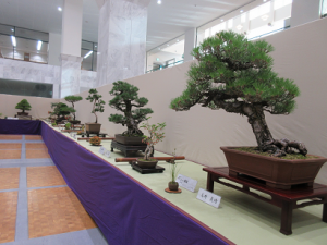 市盆栽展に展示された作品の数々