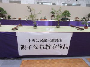 親子盆栽教室参加者の作品