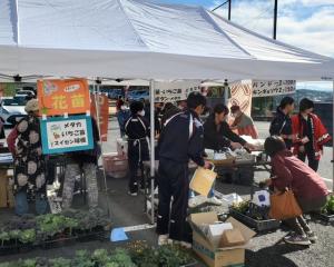 花苗バザー販売の写真