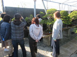 翠松園内で育てられている盆栽のタマゴから多くを学び取ろうとする受講生の皆さん