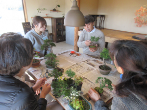 真柏について説明をされる松末先生