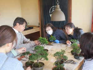 ユーモアを交えながら手入れ方法を説明される松末先生