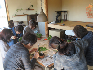 真柏にはさみを入れて熱心に選定作業をされる受講生の皆さん
