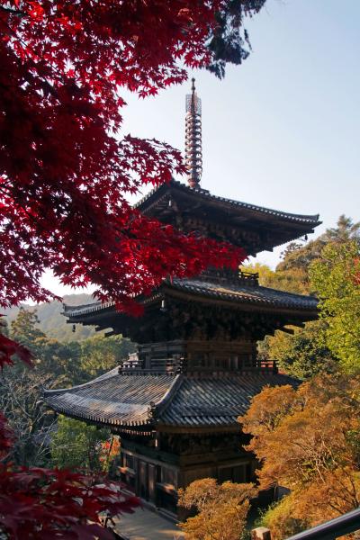 国宝一乗寺三重塔が紅葉の奥に覗いている