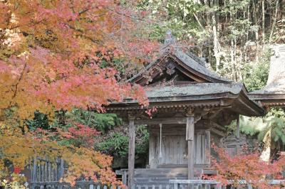 一乗寺弁天堂が紅葉の陰から覗いている