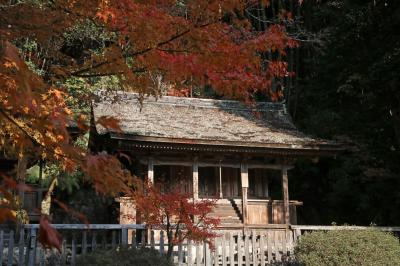 一乗寺妙見堂が紅葉の陰から覗いている