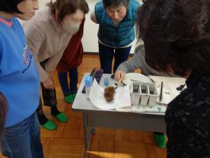 栗のイガを観察する様子