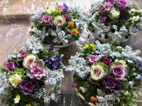 シロタエギクが美しい寄せ植えの写真