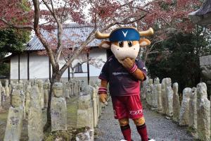五百羅漢とモーヴィ