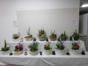 世界に一つだけの寄せ植えが勢ぞろい