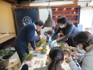 剪定及び針金の巻き方を説明する講師先生