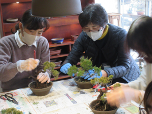 幹の磨き上げを指導する講師先生