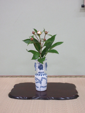 床の間に飾られていた芍薬