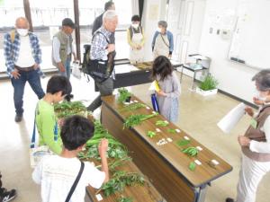 野草を手に取っている子どもの写真