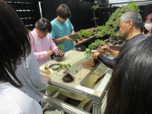 苗の植え替え作業の手本を見せる講師と翠松園の皆さん