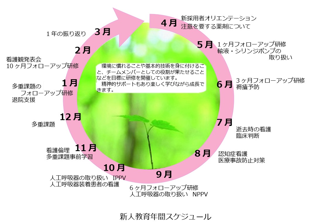 新人教育年間スケジュール