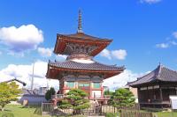 多宝塔を仰ぎ見る