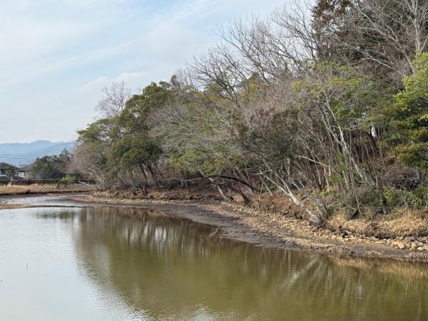 前方部から後円部にかけてを撮影した写真