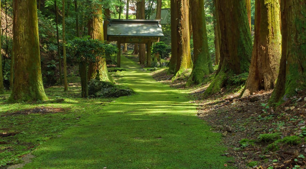 加西の絶景