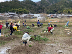 ハーブ園作業風景