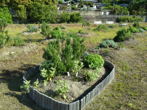 ハーブ園