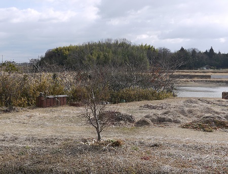 「豚の飼育場」の現在（別府東町）の画像