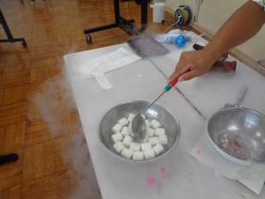 マシュマロを液体窒素に浸す様子