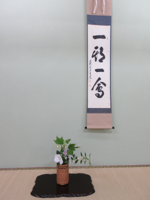 本日の床の生け花はムクゲでした