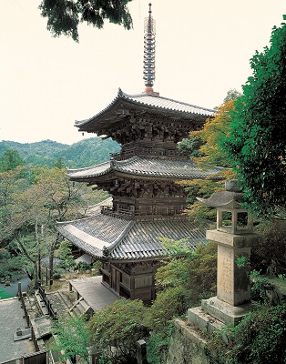 image:The current three-storied pagoda of the Ichijoji Temple