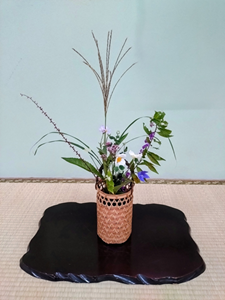 尾花や桔梗等、秋の七草を生けた茶花