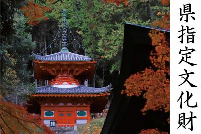 県指定文化財