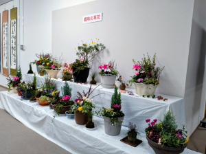 寄せ植えの数々